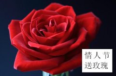 情人节该送什么礼物古代七夕节流行送什么？从七夕节送的礼物，看古