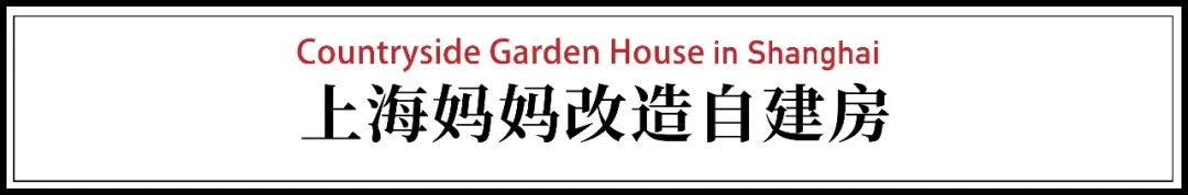 上海妈妈改造宅基地，大胆用新材料，带动邻居审美-今日头条