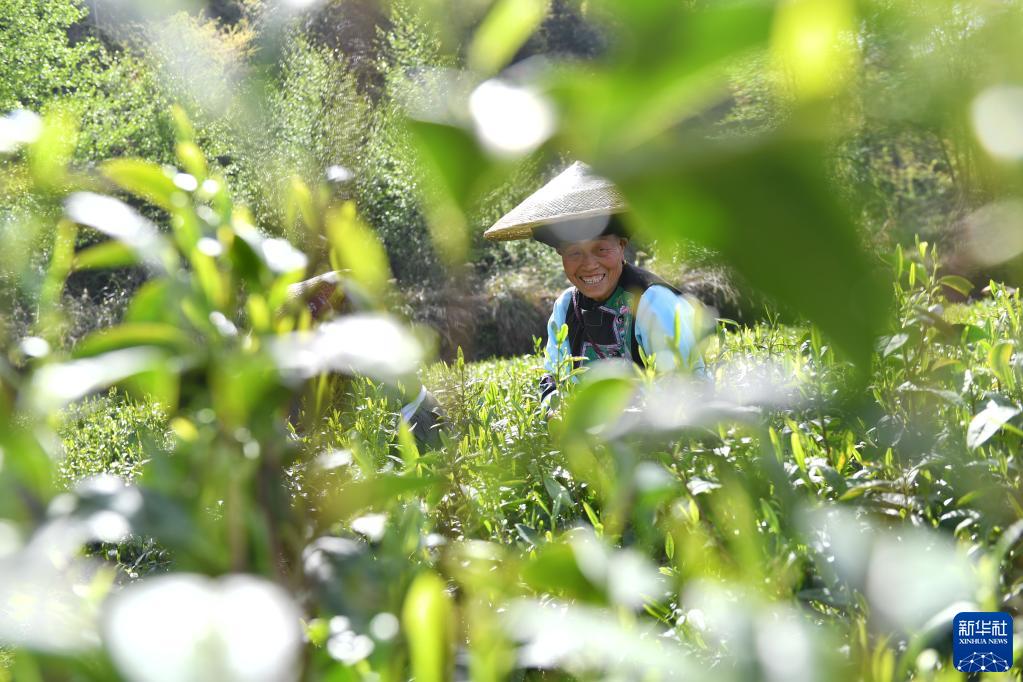 天堑变通途，“家庭”连上了“幸福”-写在矮寨大桥通车10周年之际-今日头条