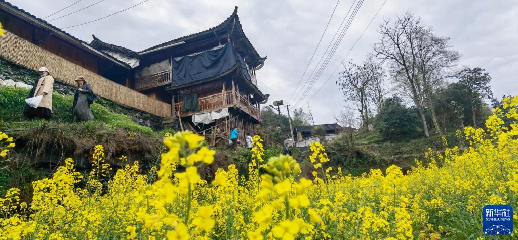 天堑变通途，“家庭”连上了“幸福”-写在矮寨大桥通车10周年之际-今日头条